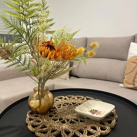 Modern Spacious شقة